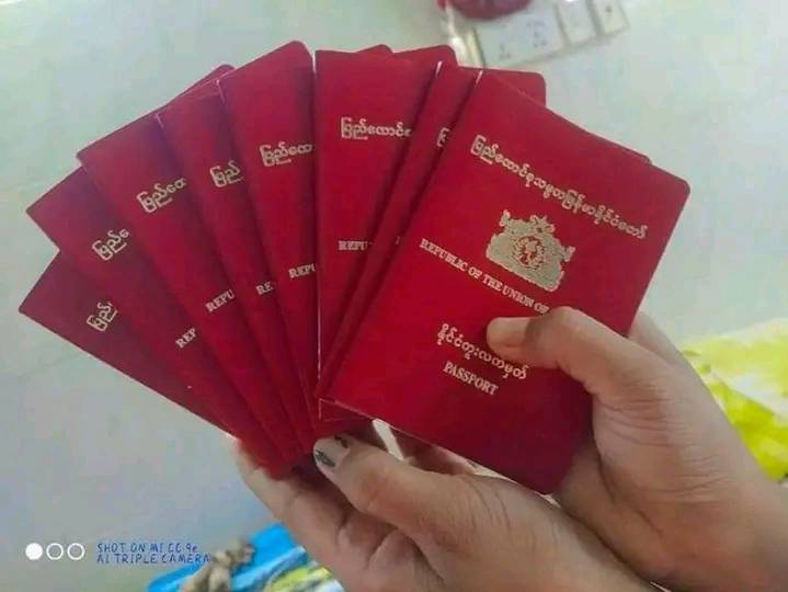 Europe Fake ID And Driver License