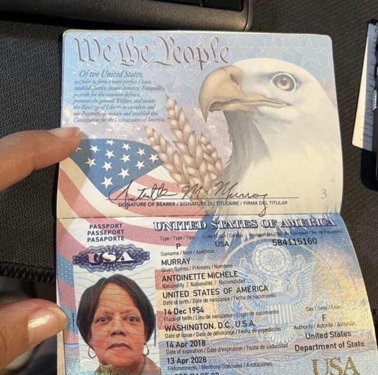 usa fake passports 2