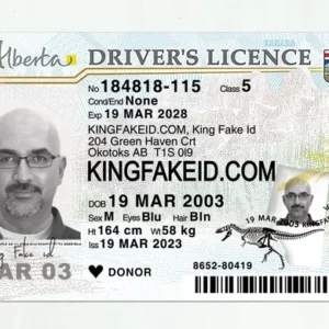 Alberta-Fake-Drivers-License-scaled
