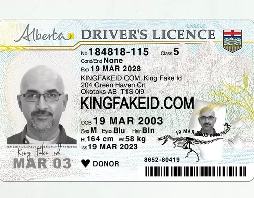 Alberta-Fake-Drivers-License-scaled