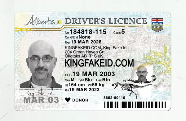 Alberta-Fake-Drivers-License-scaled