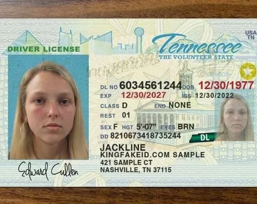 Buy-Tennessee-Fake-ID