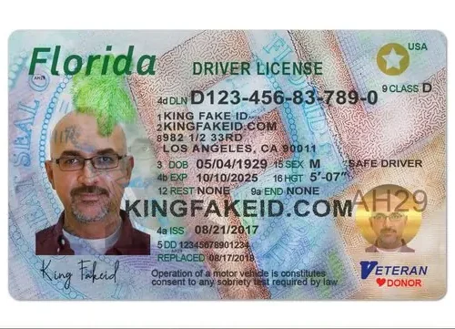 Florida-Fake-Drivers-License