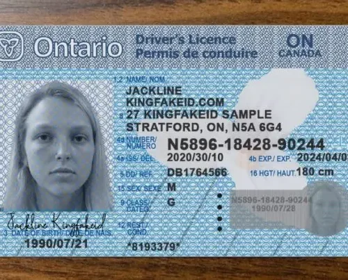 Ontario-Fake-Drivers-License