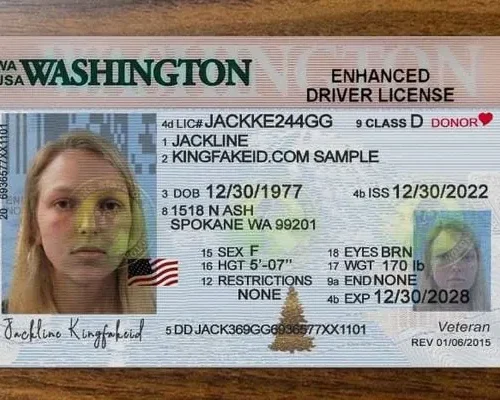 Washington-Fake-Driver-License